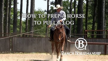 How To Prep a Horse To Pull a Log Preview