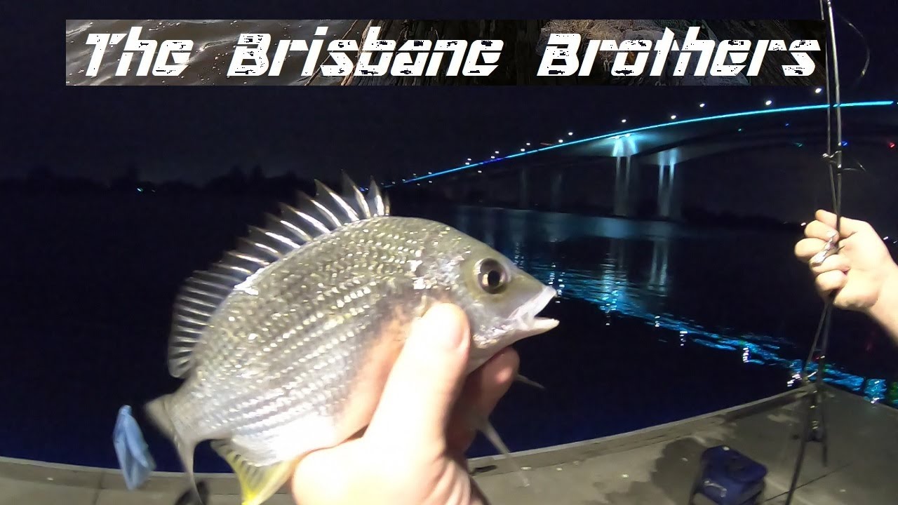 GATEWAY BRIDGE AFTER WORK FISHING SESSION