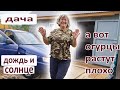 С семьей на даче.Празднуем.Дождь и солнце.Ничего не растет