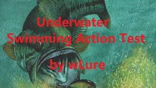 C503 wLure Fishing Lure Testing