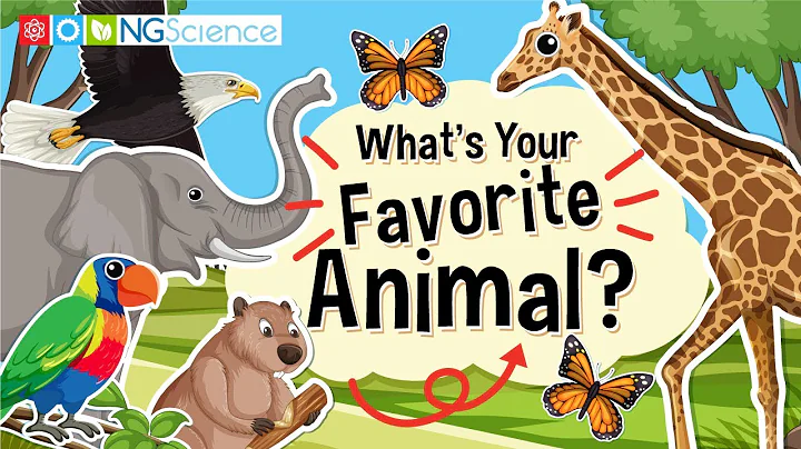 What's Your Favorite Animal?