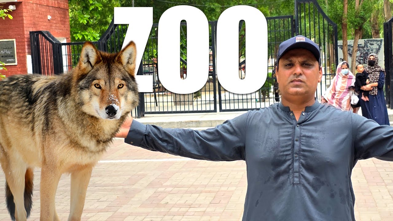 🐅D.G. Khan Zoo Tour | Rare Animals, Wildlife Facts & Family Fun in Dera Ghazi Khan