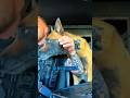This K9 Knew Exactly What He Came to Starbucks For!