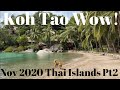 Koh Tao! Sairee, Hotels + $130 Month Home! 2020 Thai Islands Tour