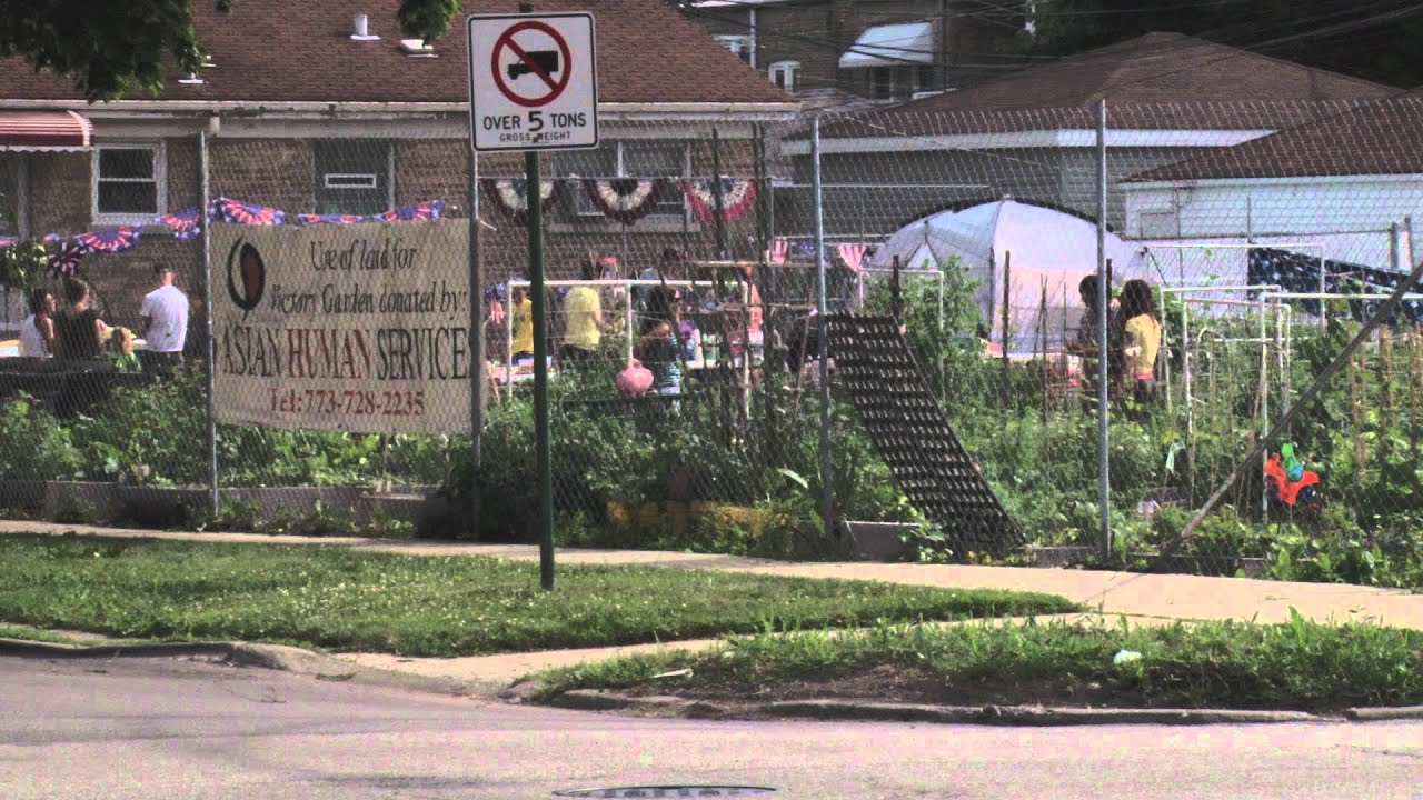 Food Patriots Salute Chicago Victory Gardens YouTube