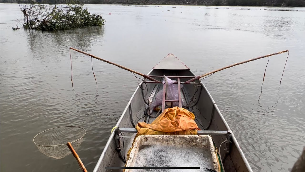 VM44 Bản Giới Hạn Thực Tế Bắt Cá Khủng 12Kg Trên Sông Lớn.lh0985802199