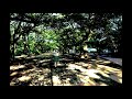 33才の夏休み/神聖かまってちゃんピアノカバー