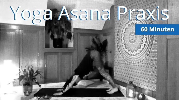 Dein Anti Stress Programm Folge 11 | Yoga Asana Praxis fr alle Level (auch fr Anfnger)