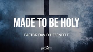 Made to Be Holy Part 2 | Sabbath Christian Church | David Liesentfelt 2022--6-04