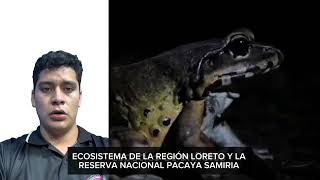 Avance de Portafolio 1 _ JUAN PEDRO RAMOS ALENCAR 