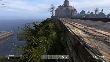 DayZ  - Expect The Unexpected
