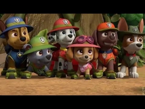 Marshall Weekly Wipeouts I Feel Good Gulat PAW Patrol Memes