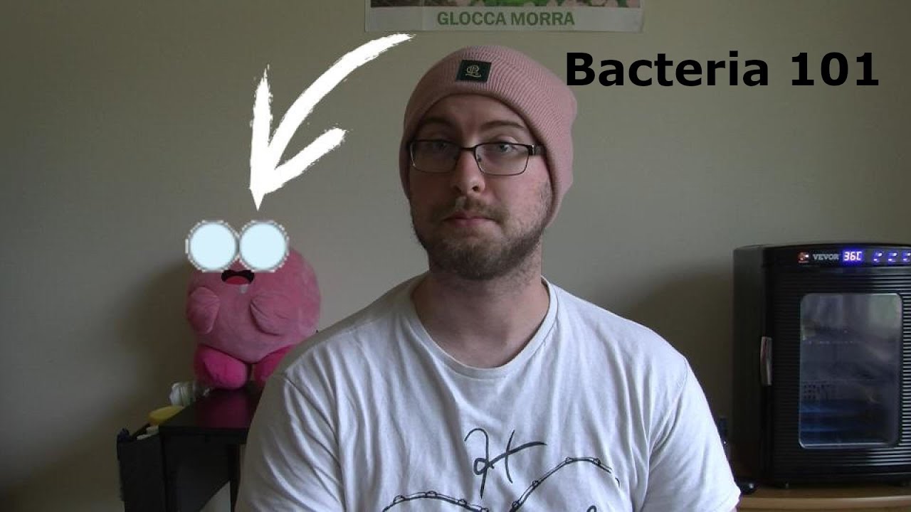 Bacteria 101