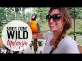 Birds Gone Wild | KL Bird Park | Kuala Lumpur, Malaysia