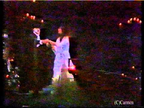 Das Phantom der Oper (Wien) - Luzia Nistler + Alexander Goebel (1989)