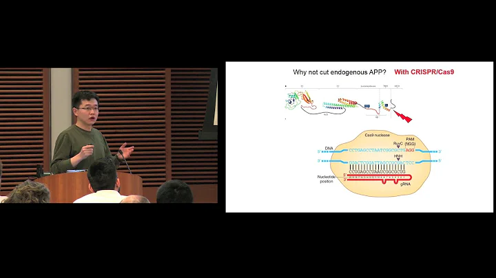 A CRISPR/Cas9 Based Strategy to Attenuate the Beta-Amyloid Pathway