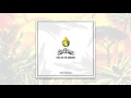 Stick Figure – "Fire on the Horizon" (Johnny Cosmic Remix)
