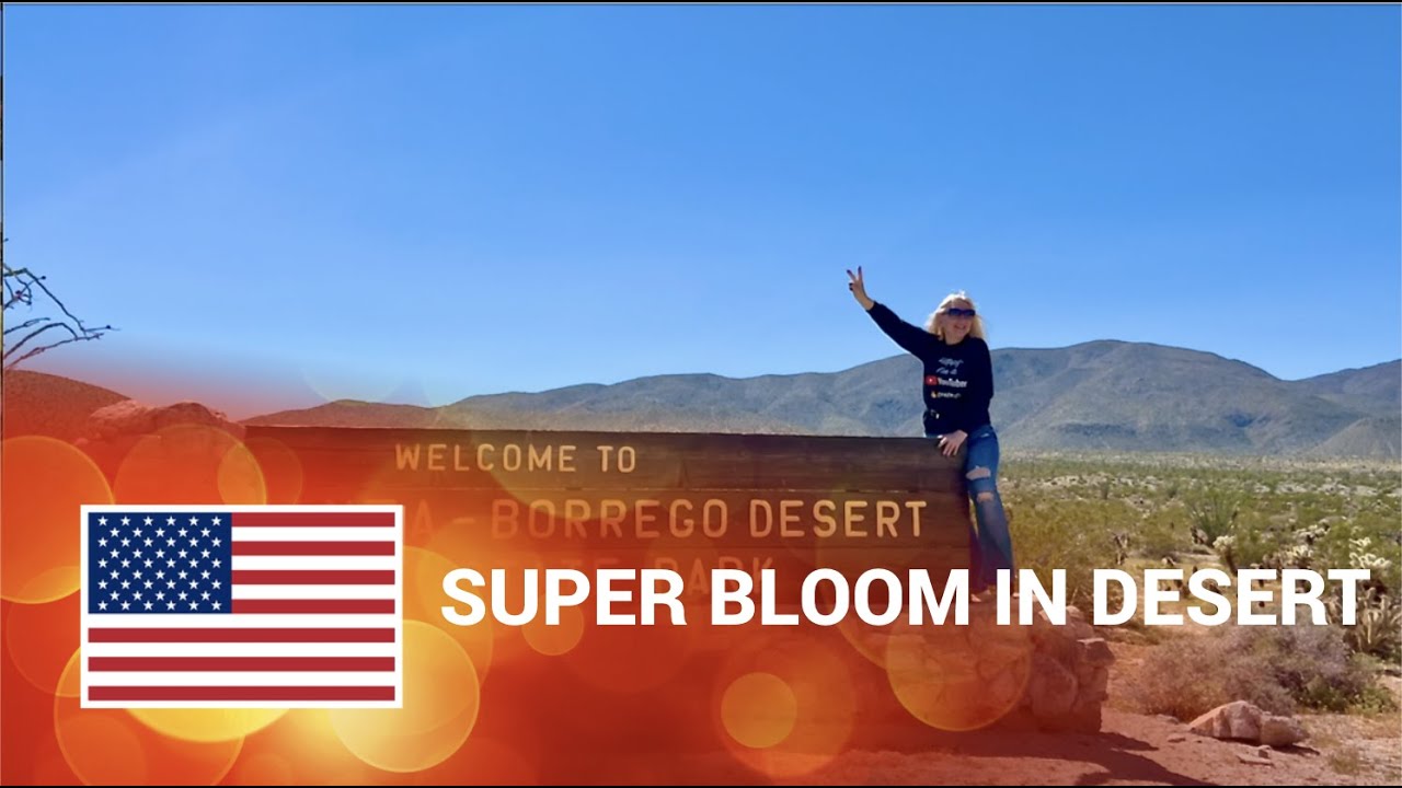 🇺🇸 Наблюдение за редким СУПЕРЦВЕТЕНИЕМ в пустыне Анза-Боррего: незабываемое путешествие!