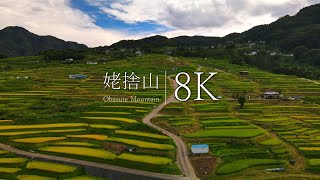 [Japan in 8K] Ubagase mountain Nagano's terraced rice fields