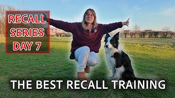 How To Turn AWFUL Recall Into PERFECT Recall Training With Your Dog!
