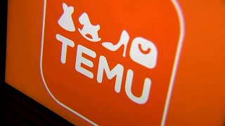 Lawsuits claim shopping app TEMU gives company access to ‘literally everything’ on your phone screenshot 2