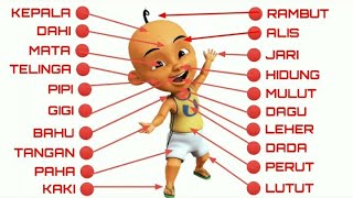 BELAJAR MENGENAL NAMA-NAMA ANGGOTA TUBUH