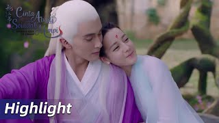Highlight EP53 Kaisar sangat bisa memanjakan Xiaojiu | Eternal Love of Dream | WeTV【INDO SUB】
