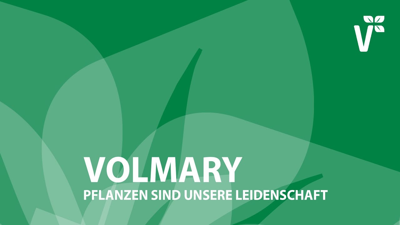 Volmary - Pflanzen sind unsere Leidenschaft