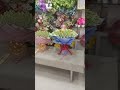 Money bouquet 💐.