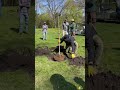 35 New Trees Planted at the Olcott Arboretum
