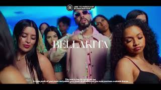 Anuel AA X Ryan Castro Reggeaton Type Beat 2024 | “Bellakita”