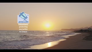 Volunteers Protecting Sea Turtles in Greece by ARCHELON Τhe Sea Turtle Protection Society 177 views 1 year ago 45 seconds