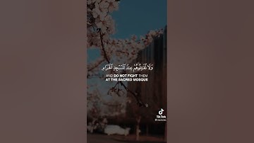 وقاتلوا في سبيل الله الذين يقاتلونكم ولا تعتدوا  - تلاوة الشيخ مشاري العفاسي