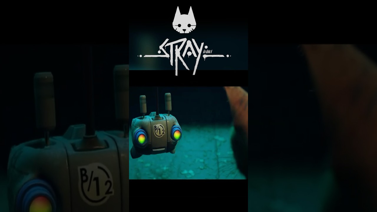 STRAY - мой новый друг 