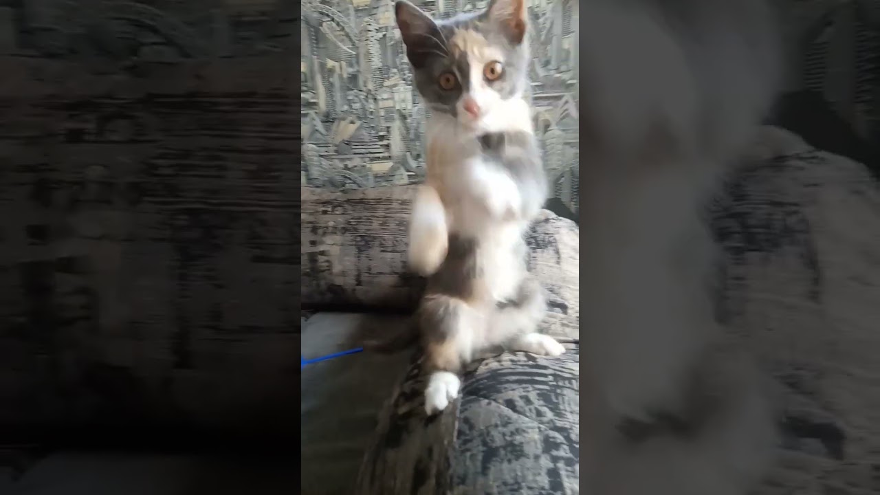 16 августа 2025 г.