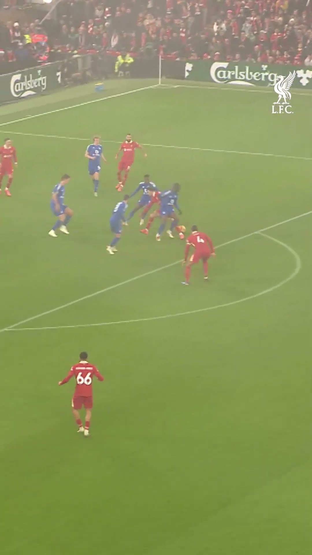 Curtis Jones Goal! ⚽️