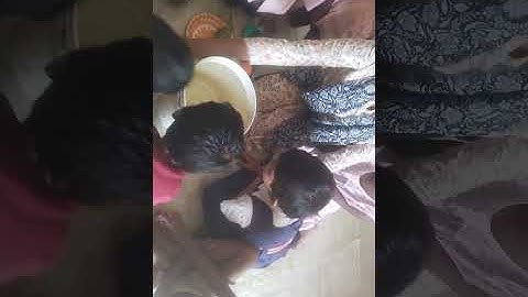 IGNOU DECE PROJECT Activity - 19 ( Float And Sink activity )