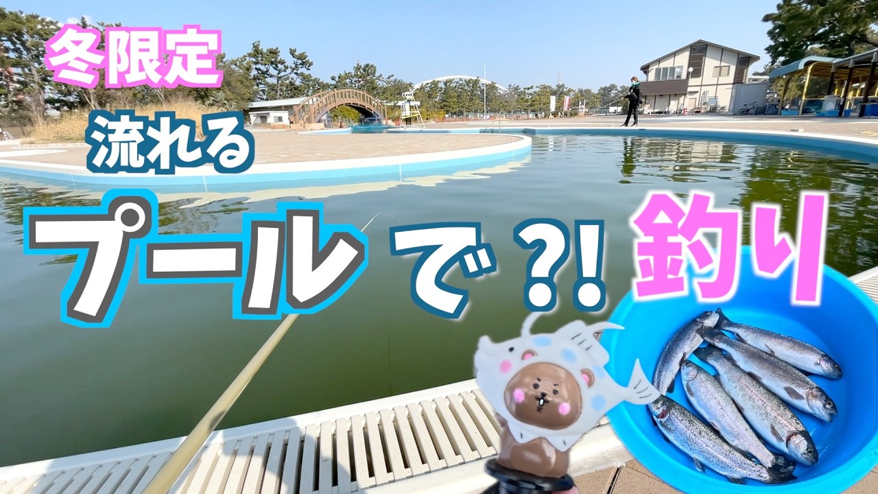 【冬限定】流れるプールが釣り堀に!? 気づけば大人が一番本気　#釣り#ニジマス#釣り堀#親子釣り#冬限定＃浜寺公園プール