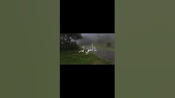 أكتب شيء تؤجر عليه 🤍.#قرآن #quran #اكسبلور #explore #قران_كريم #سورة_السجدة #عبدالرحمن_مسعد