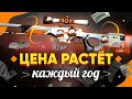 5 СКИНОВ В КС ГО, КОТОРЫЕ КАЖДЫЙ ГОД РАСТУТ В ЦЕНЕ / ЛУЧШИЕ ПРЕДМЕТЫ ДЛЯ ИНВЕСТИЦИЙ В STEAM #3