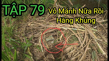 TẬP 78 Mùa Rắn Đi Ăn Trở Lại Chỉ 14 Con Chuột 30 Cái Lợp Rắn Bắt Mỏi Tay Luôn.