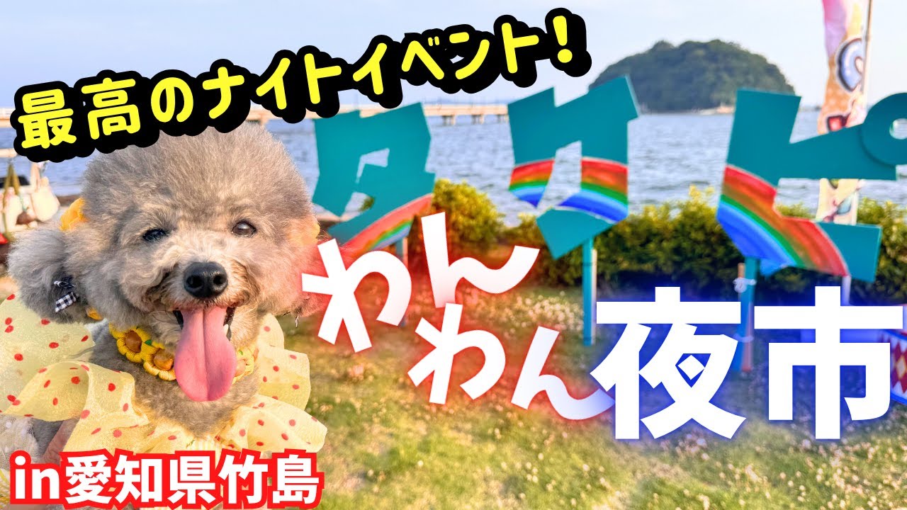 最高のナイトイベント！噂のタケピに行ったら愛犬がテンション爆上げ💦【竹島ガーデンピクニック】