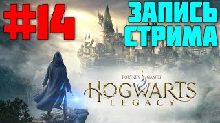 DLz играет в Hogwarts Legacy за Слизерин - Часть 14 | Запись стрима | Хогвартс Наследие