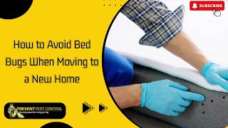 How to avoid Bed Bugs When Moving to a New Home