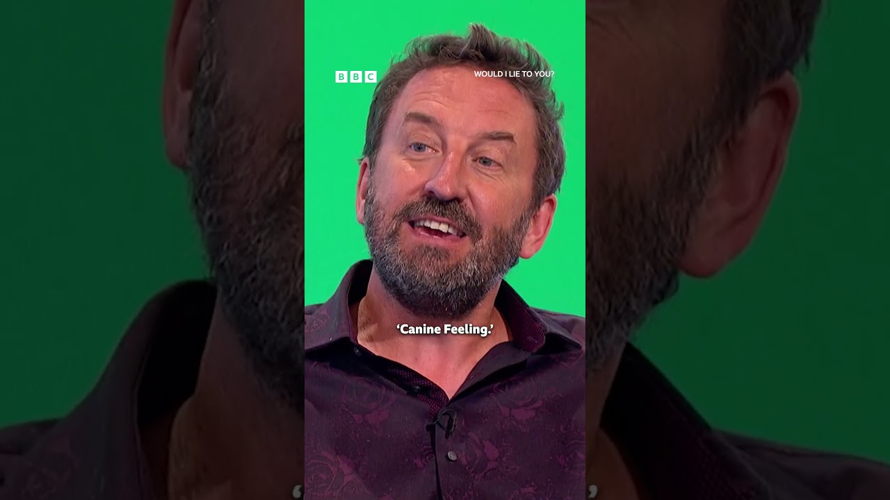 ALWAYS lovely to see a lustrous Afghan hound 🐕 