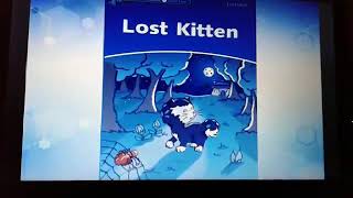 Dolphin Readers: Lost Kitten Guía