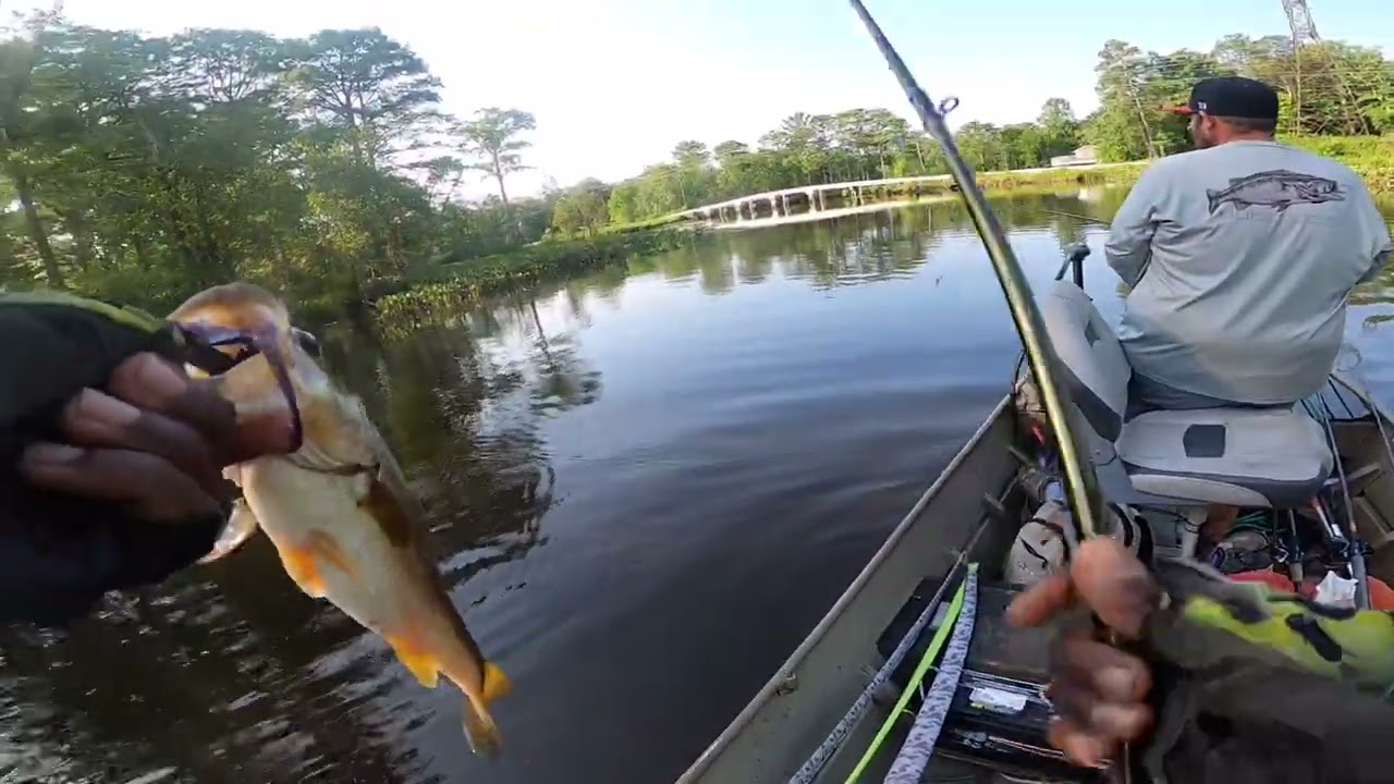 River BASS fishing with a special guest