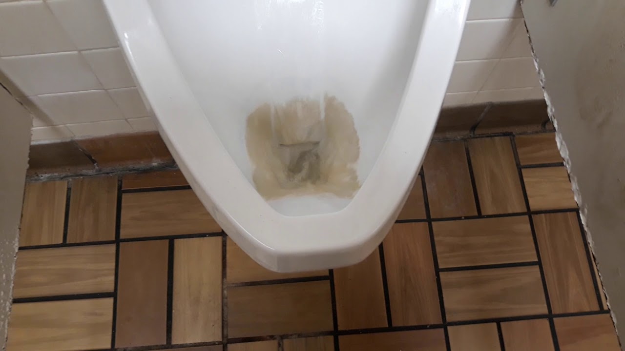 724 Mansfield suburban urinal flushing toilet paper! YouTube