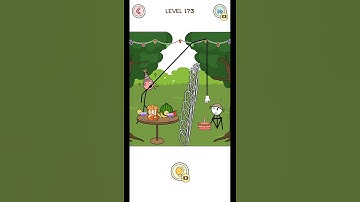 Thief puzzle level #173