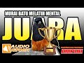 PERSIAPAN GANTANG!!Murai batu Melatih mental fighter calon juara | murai batu | shama bird